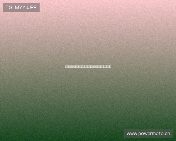 德甲联赛新赛季格局解析豪门争锋与黑马崛起之路战术演变与青年力量