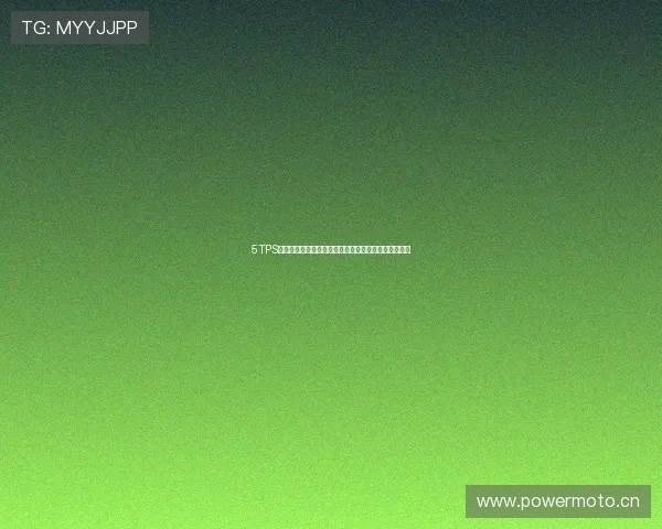 5TPS官方网站：提供全面的互联网技术服务与创新解决方案